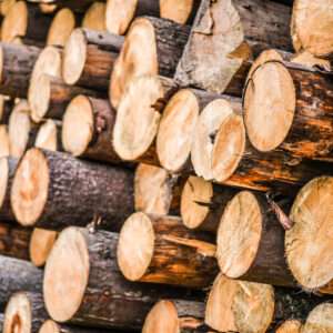 Spruce Wood